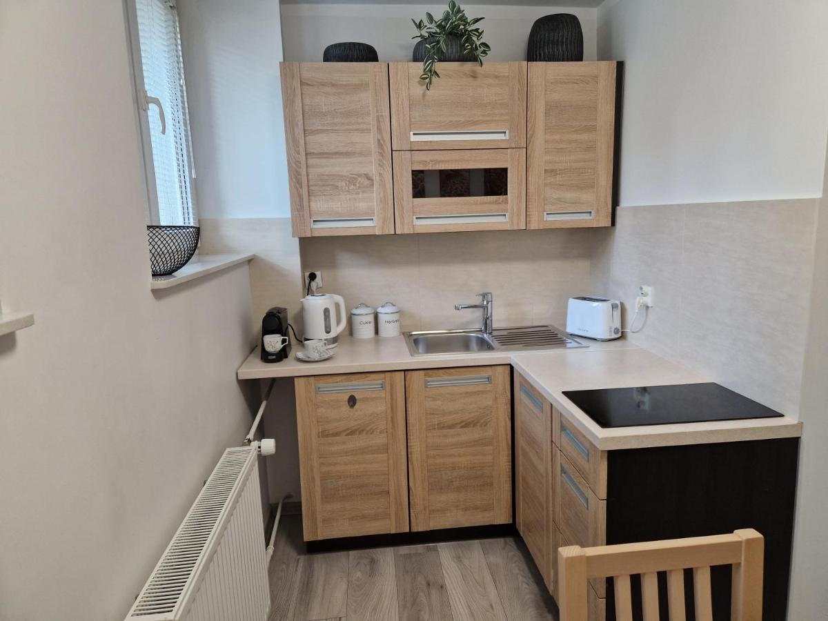 Apartament W Srodmiesciu Sanok Exterior foto